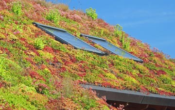 South Hatfield living roof systems