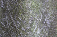 South Hatfield fibreglass roof work